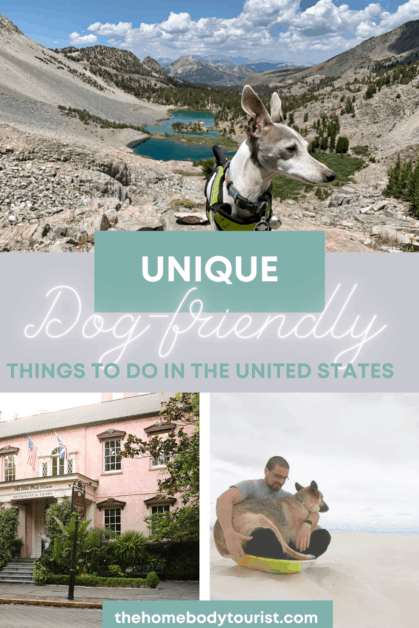 unique dog-friendly things to do in the united states
