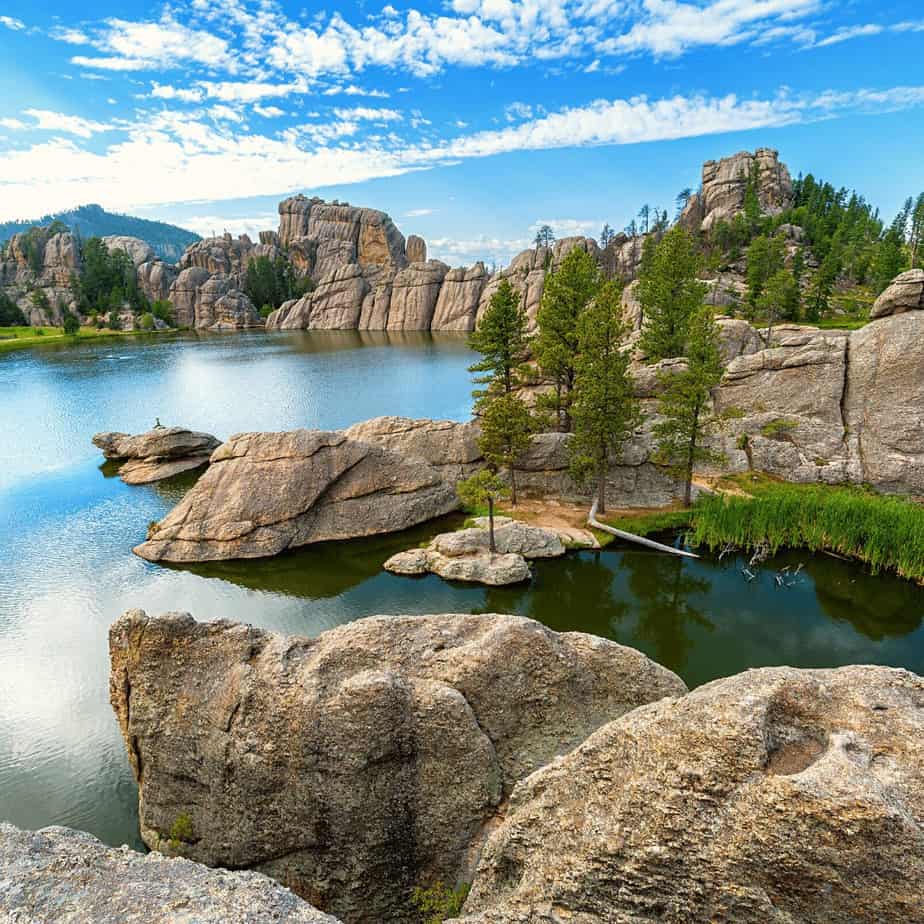 Custer State Park- South Dakota- United States of America