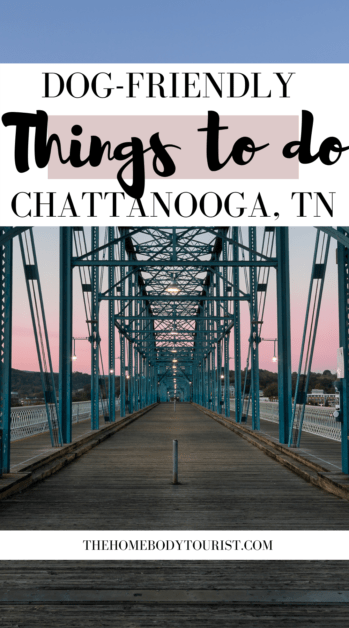 Dog-friendly Things to do in Chattanooga Pin