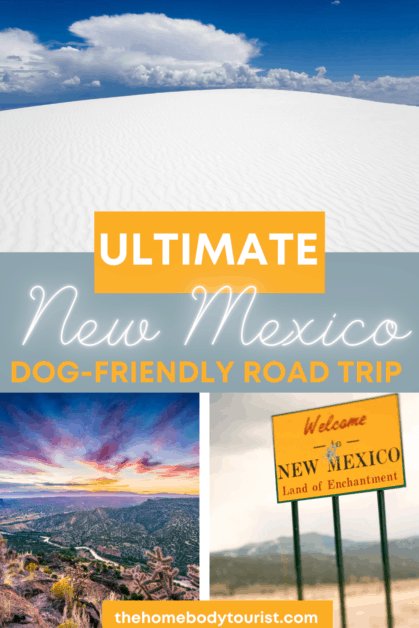 Dog-friendly New Mexico Road Trip Pin