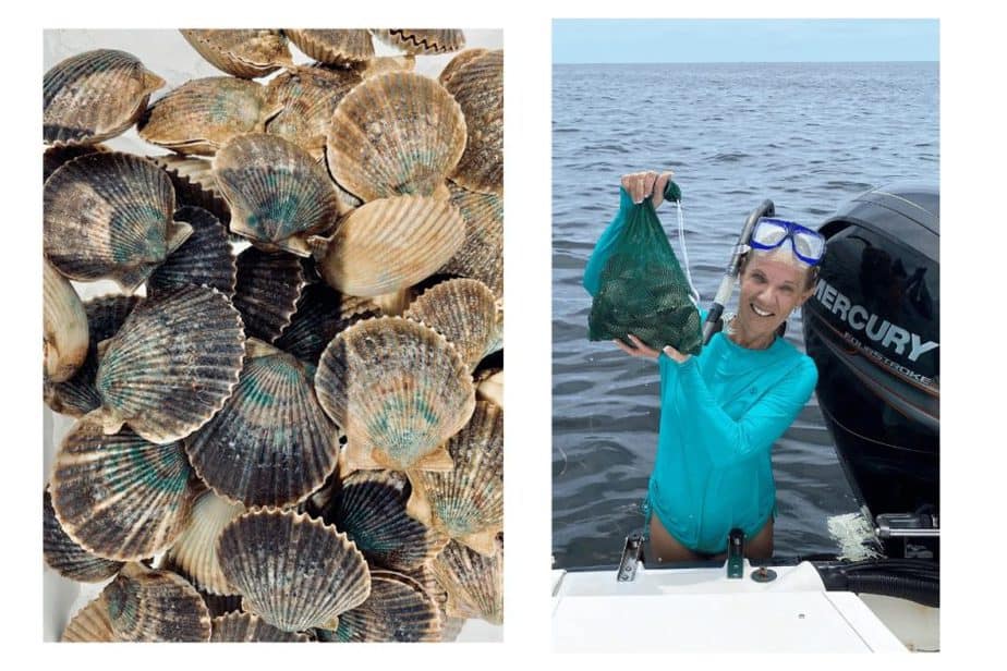Scalloping in Steinhatchee, FL. Weekend getaway from Orlando. Unique things to do in Florida. 