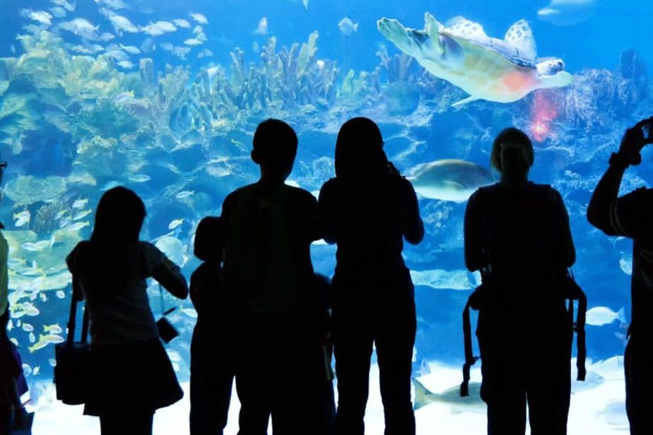 Sea Life Aquarium 