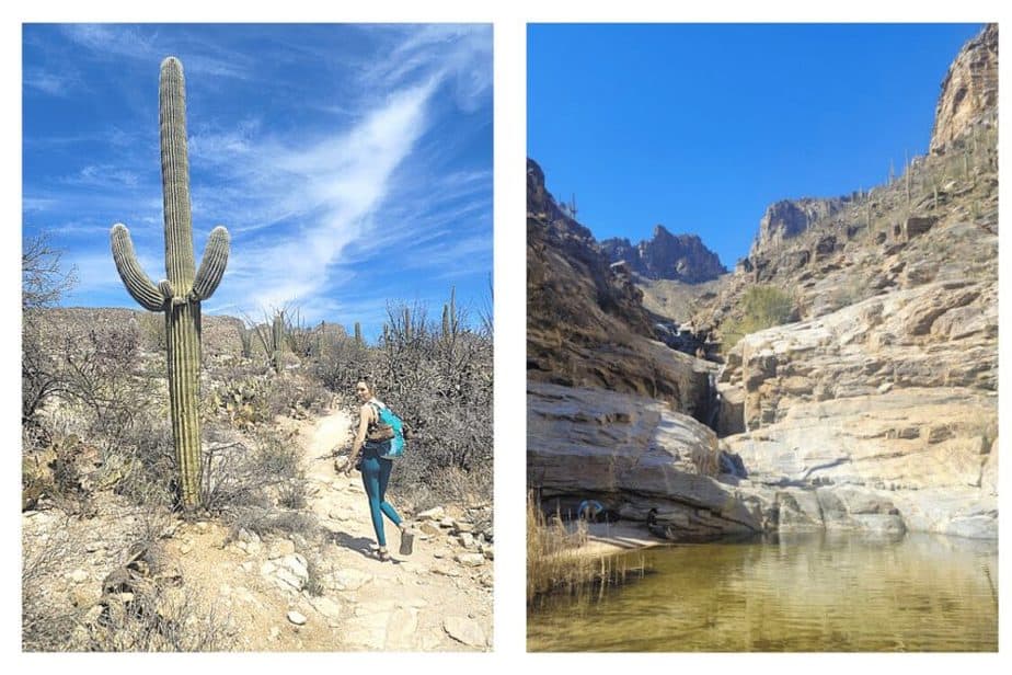 Sedona to Tucson Road Trip. Seven Falls Trail 