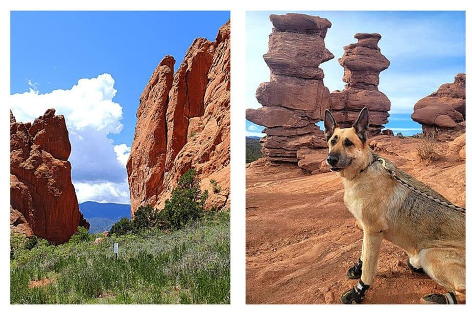 Garden of the Gods with dogs.