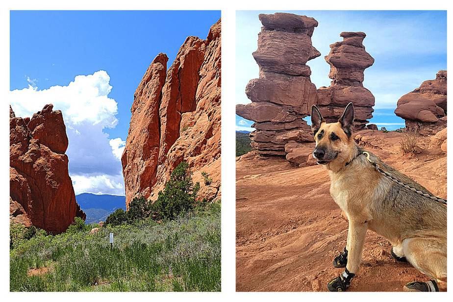 Ultimate Dogfriendly Colorado Road Trip The Homebody Tourist