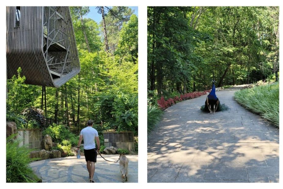 Garvan Woodland Gardens- Dog-friendly things to do in Arkansas