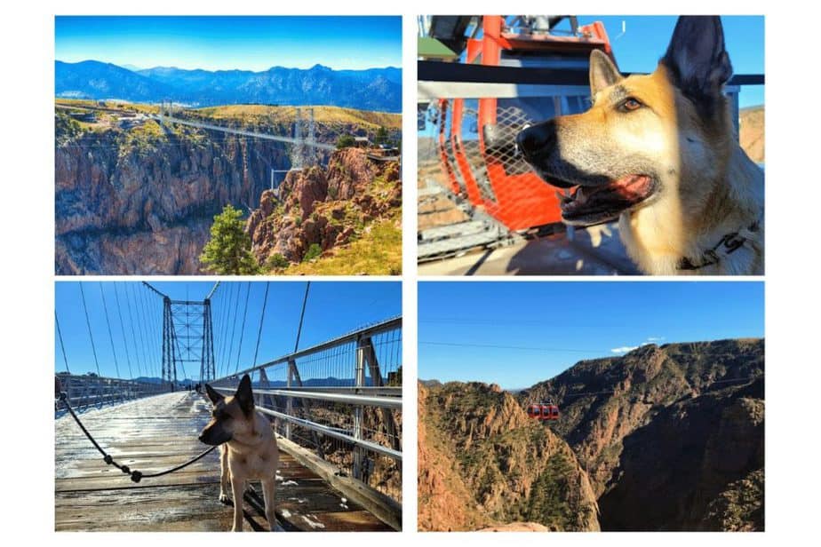 Royal Gorge Park- Dog-friendly attractions in Colorado 