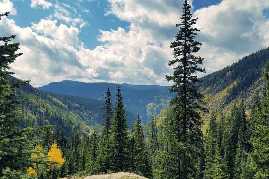 Vail Scavenger Hunt- Dog-friendly things to do in Vail, Colorado. 