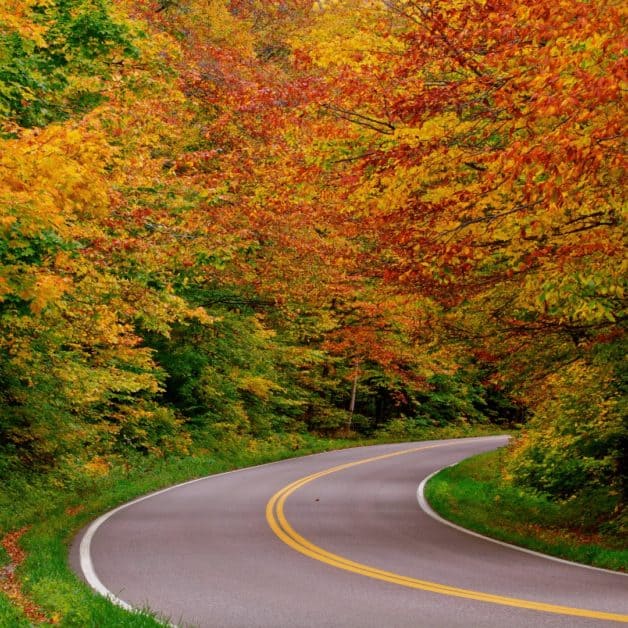 Breathtaking USA Road Trips to Take this Fall (2023!) - The Homebody ...