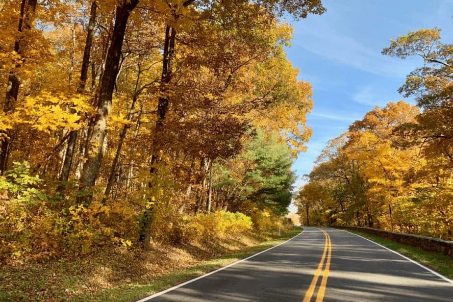 Skyline Drive, Shenandoah National Park during peak Fall Foliage 