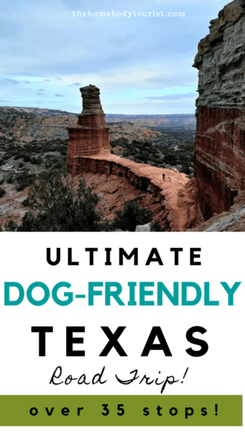 ultimate dog-friendly texas road trip pin