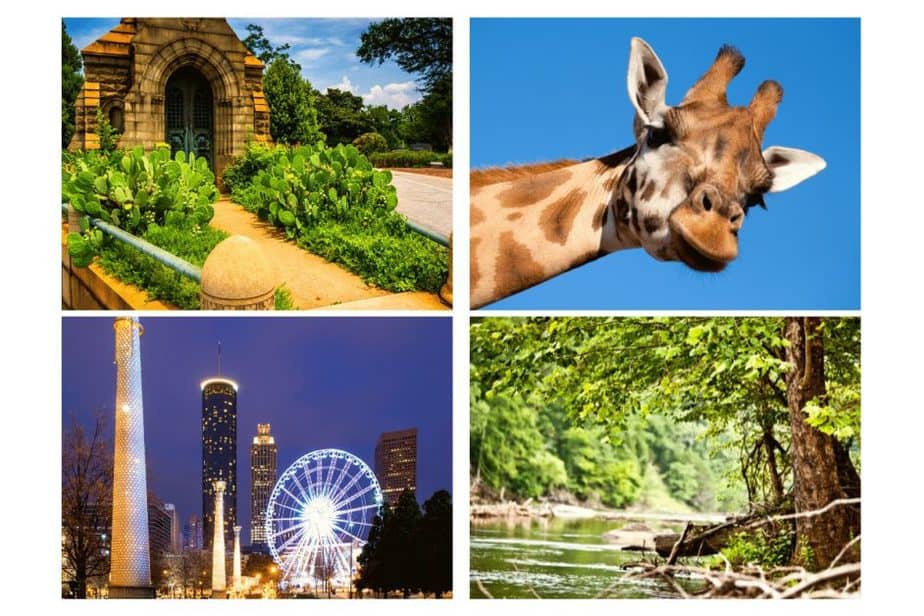 other things to do in atlanta, ga, zoo, centennial Olympic park, sweetwater creek state park, and the skyview