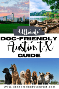 Dog-Friendly Guide To Austin, TX - The Homebody Tourist