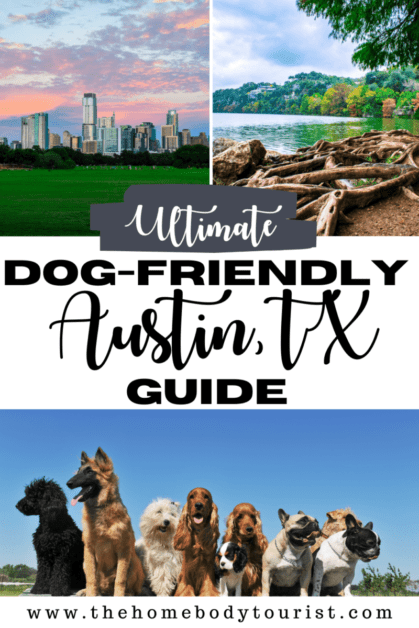Dog-friendly guide to Austin, TX pin for pinterest