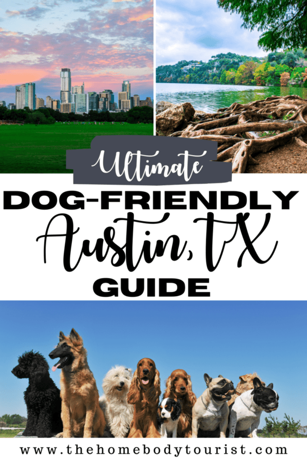 Pet Friendly Austin Tx