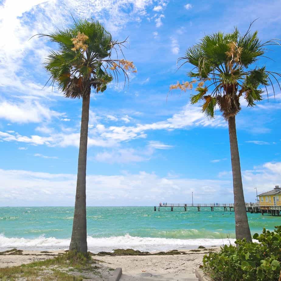 one weekend in tampa