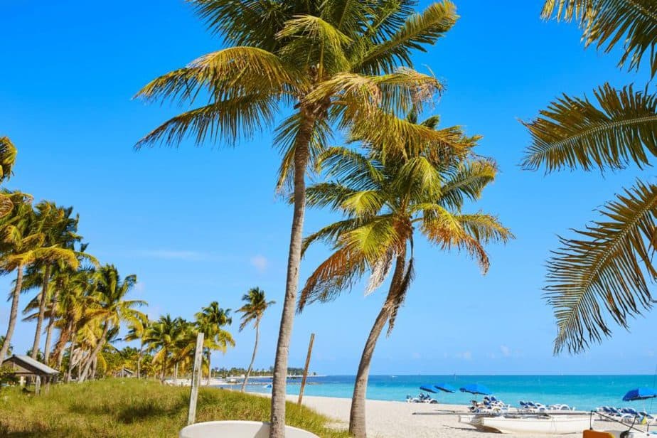 Beach in the Florida Keys with palm trees 