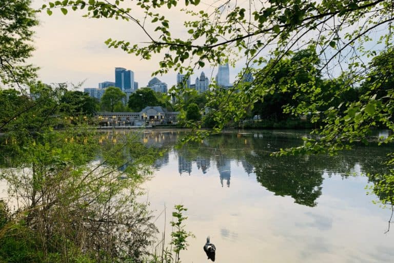 Dogfriendly Guide to Atlanta The Homebody Tourist