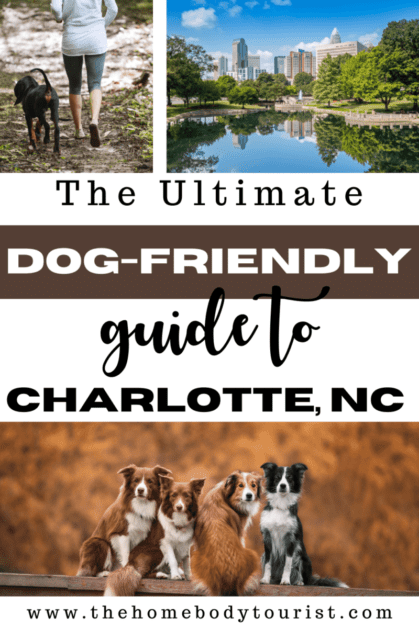dog-friendly city guide to charlotte. Dog-friendly things to do in Charlotte, NC 