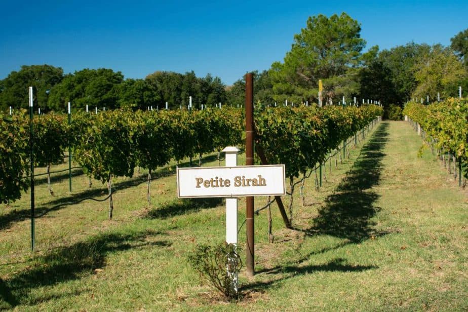 winery in fredericksburg- romantic weekend trip in texas for couples 