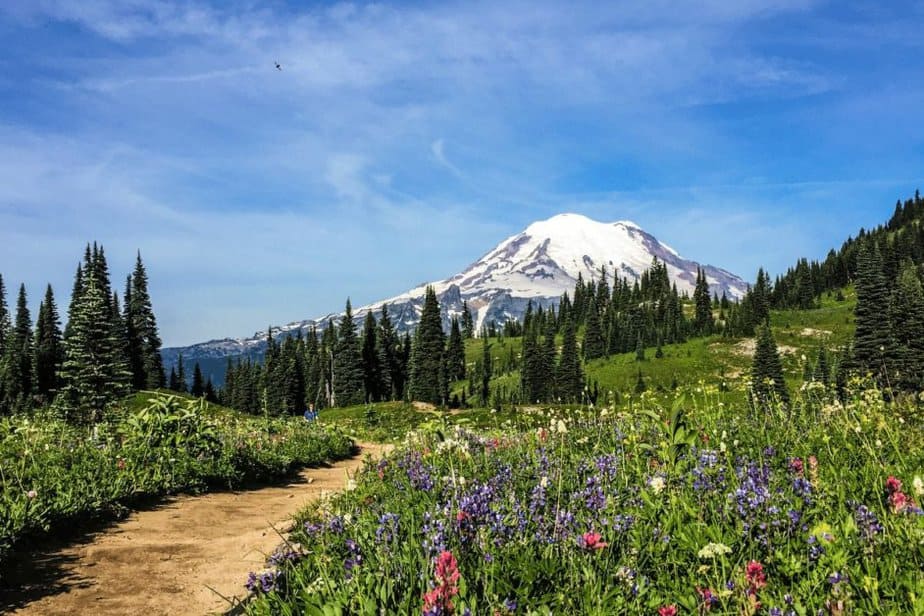 trail at mount rainier national park-day trip from seattle