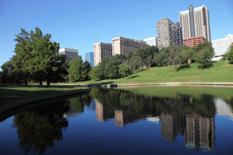 DogFriendly Guide to St. Louis, MO The Homebody Tourist