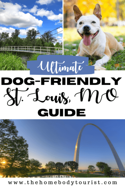 dog-friendly st. louis, MO guide pin with three pictures. one of bridge in forest park, one of a dog in a park, and one of gateway arch. 