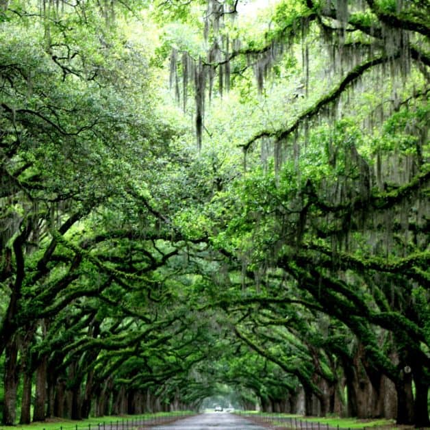 one weekend in savannah Georgia