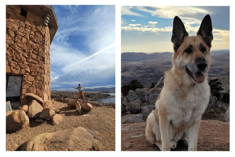 dog on mount scott in the wichita mountains. best dog-friendly weekend trips from Oklahoma city 