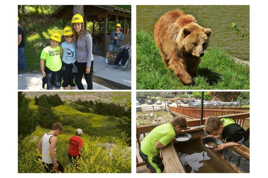 other things to do in rapid city- 4 pictures. top right three people with yellow helmets, top left- brown bear, bottom right- two boys at badlands national park- bottom left- two boys panning for gold 