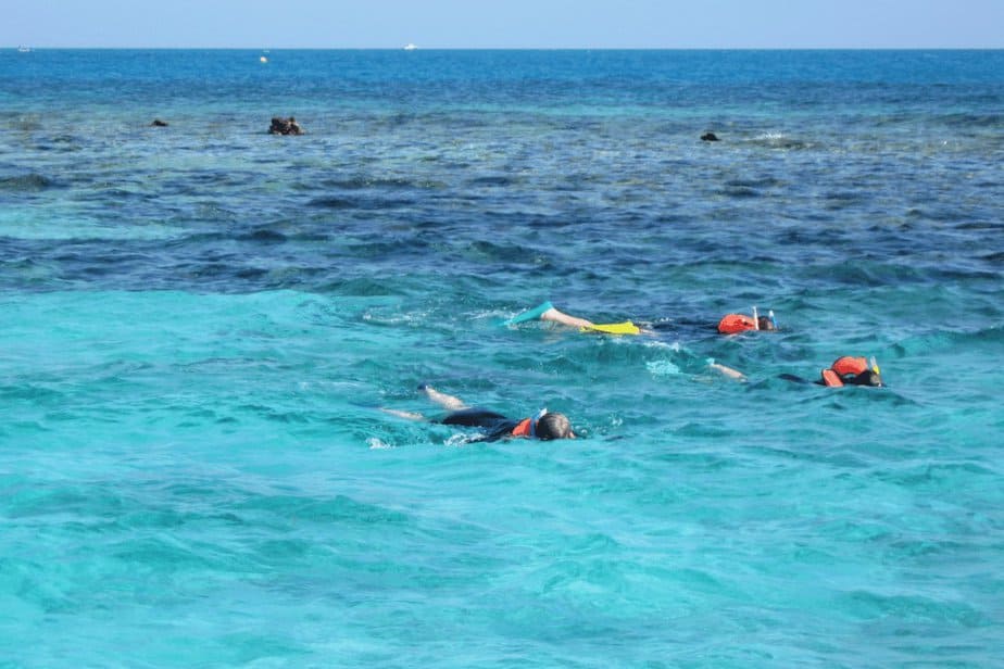 Best Snorkeling in the USA - The Homebody Tourist