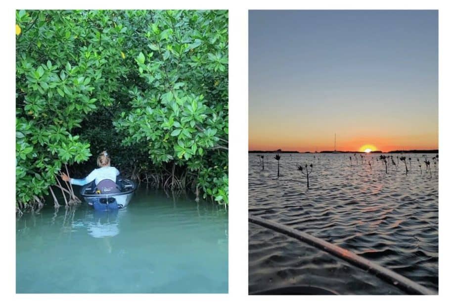 kayaking through the mangroves in Islamorada florida. Mangrove tunnel and sunset 