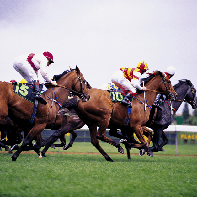 horse racing in lexington