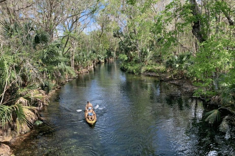 kayaking in the Florida springs 
