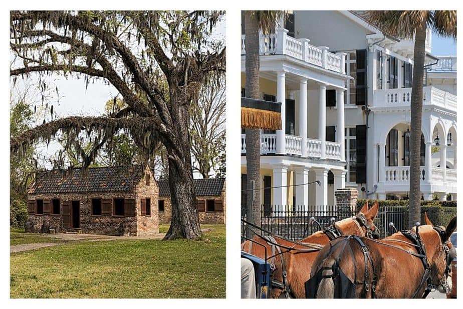 boone plantation and horses in historic charleston, sc 