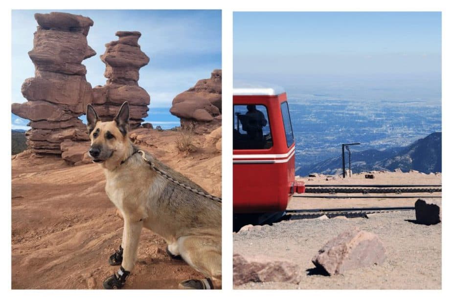 dog at garden of the gods and cog rail going up to Pikes Peak  
