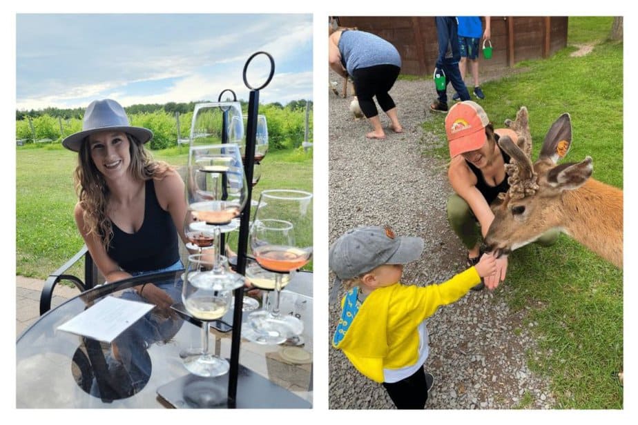 dancing dragonfly winery and fawn-de-rosa- best things to do in taylors falls 