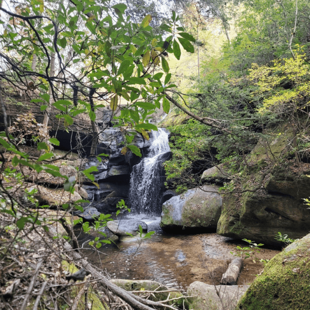 Dismals Canyon waterfall featured image