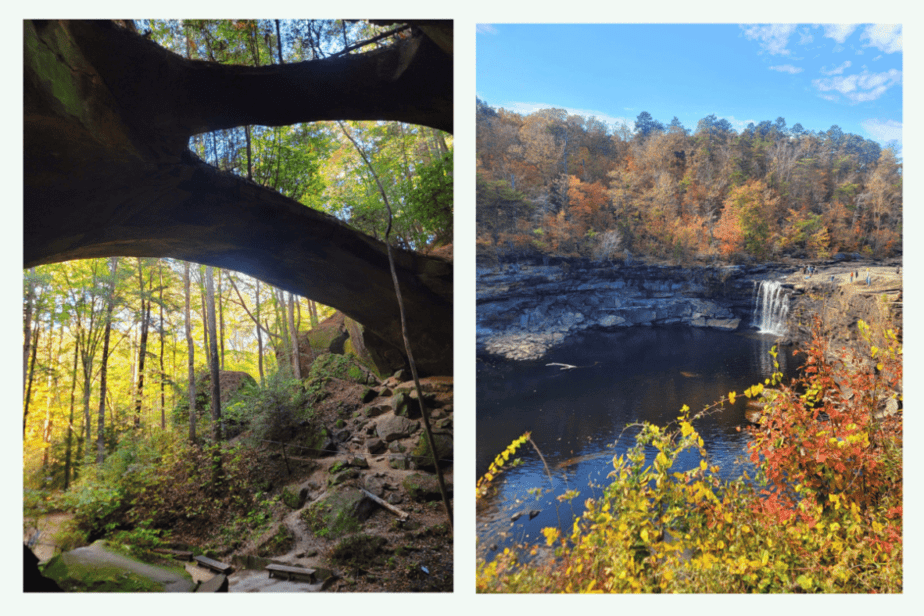 Other things to do near Dismals Canyon- Natural Bridge and Little Canyon Falls