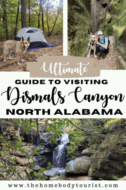 Guide to visiting Dismals Canyon North Alabama Pin for Pinterest