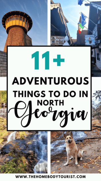 Adventurous things to do in North Georgia with dogs pin for pinterest