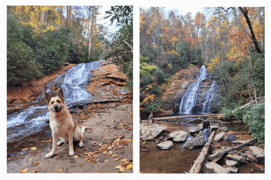 Helton Creek Falls during Autumn. German Shepherd standing in front of the falls