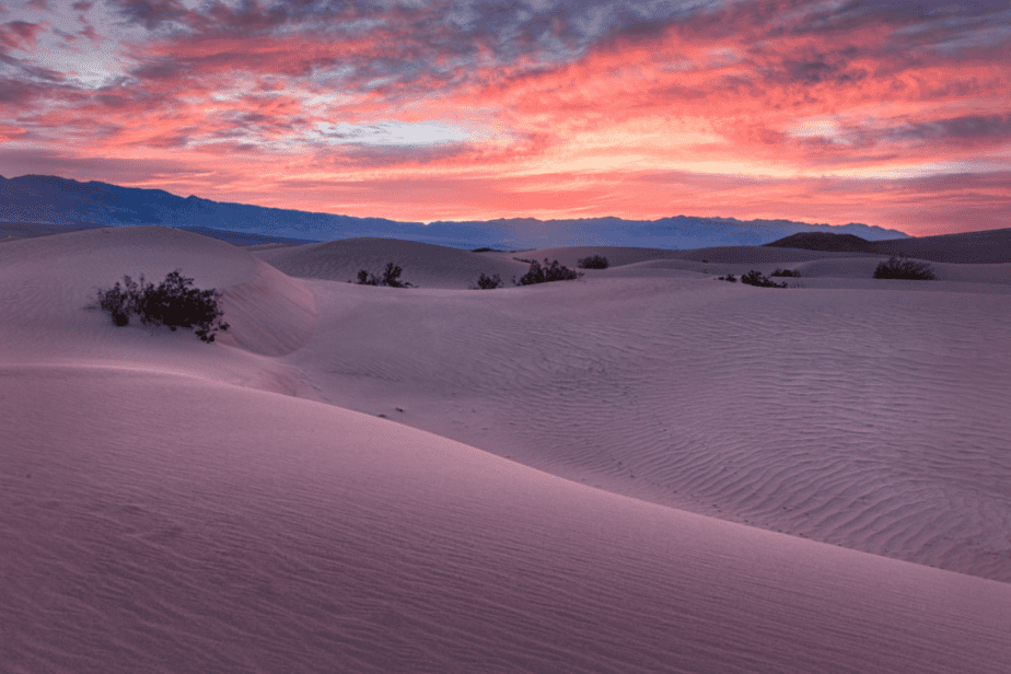 sunrise at mesquite sand dunes