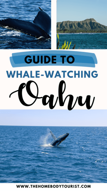 Guide to Whale Watching on Oahu Pin for pinterest 