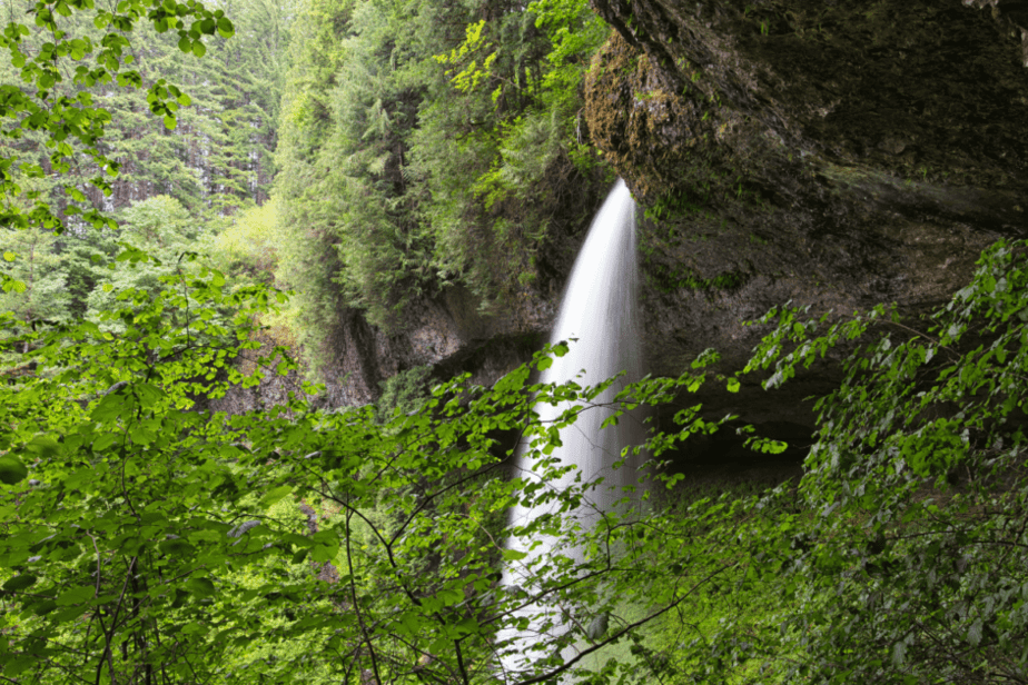 waterfall at silver falls state park in oregon 