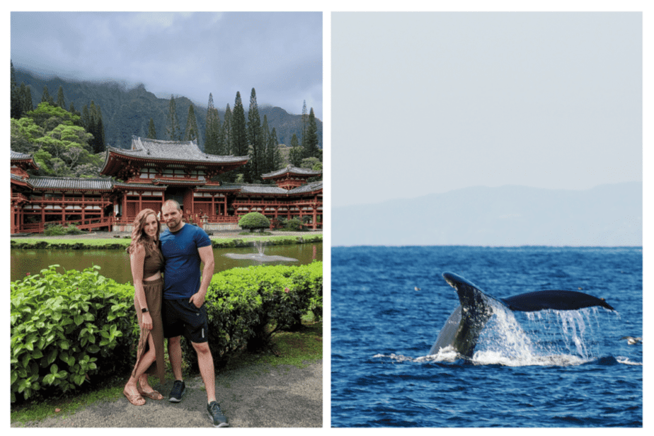 north shore road trip and whale watching during one weekend in oahu 