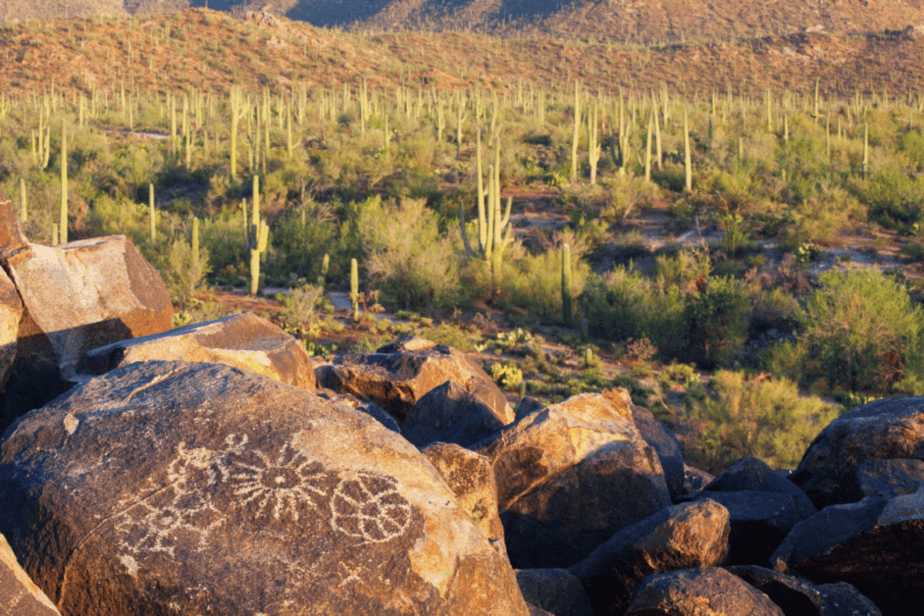 petroglyphs at saguaro national park
