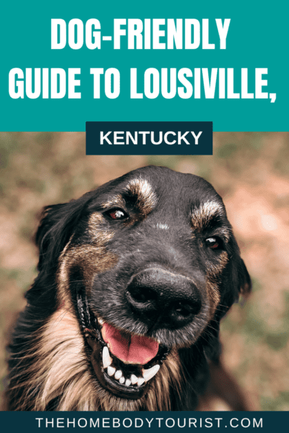 Dog-friendly guide to Louisville, Kentucky pin for pinterest 