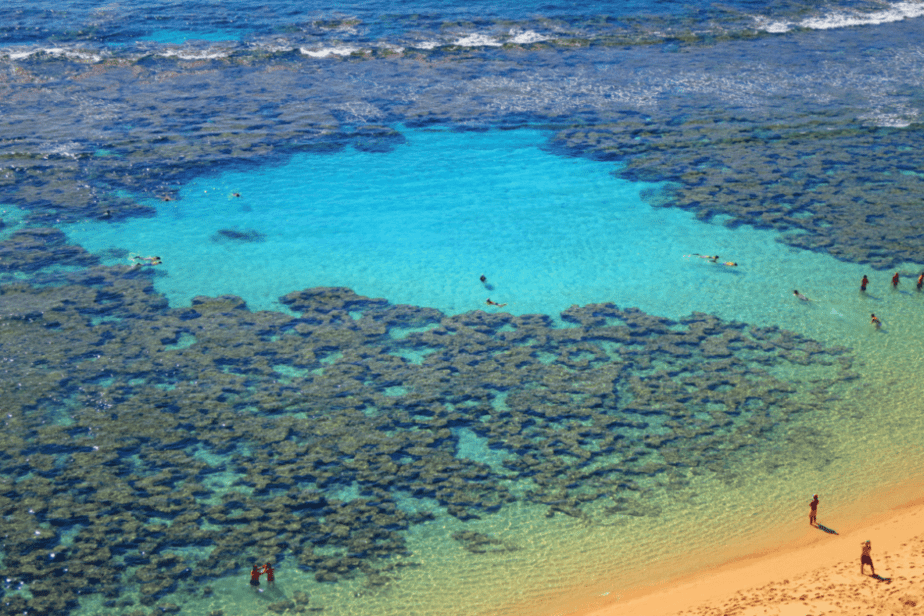 aerial view of hanauma bay with snorkelers swimming 