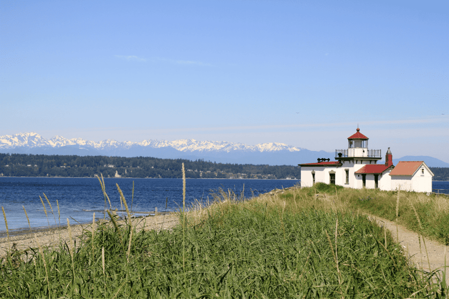 discovery park in seattle- featured image for dog-friendly guide to seattle washington